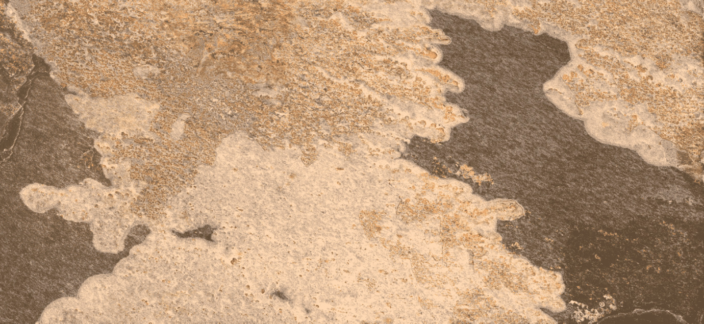 Azulejo Cerámico Delhi Noce | Viterra Cerámica